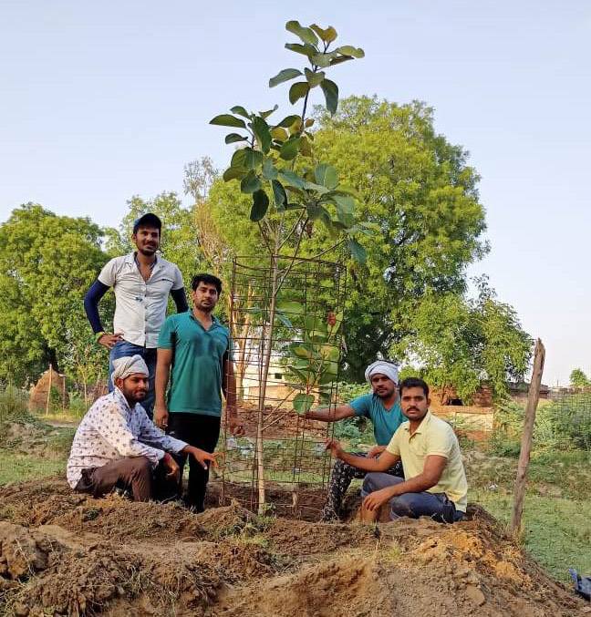 गांव थाना कलां के युवाओं ने बरगद का पौधा रोपा